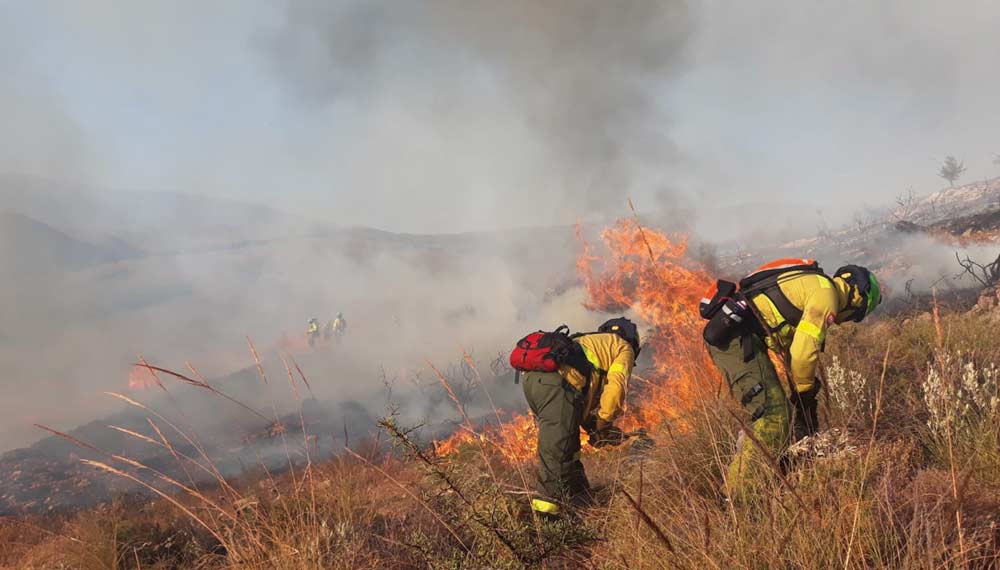 A mathematical model made in Zaragoza improves the recovery of burned land